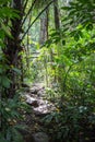 Pure nature at Umphang Wildlife Sanctuary,Tak Province,northwestern Thailand Royalty Free Stock Photo